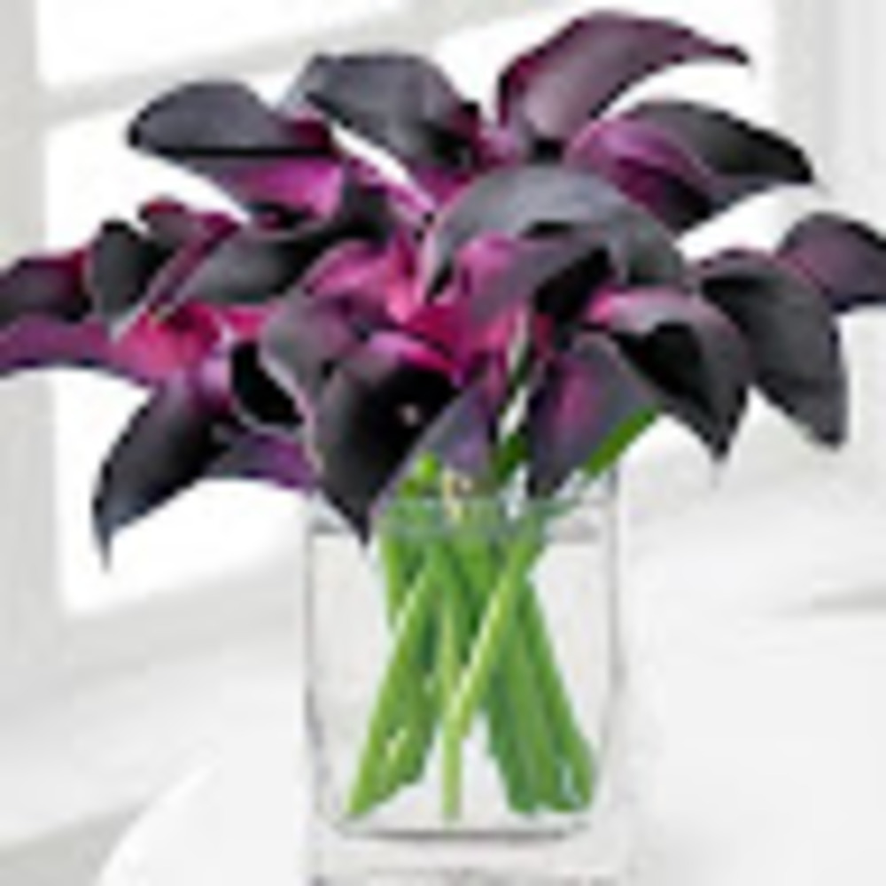 Meet your Posher, Joanne